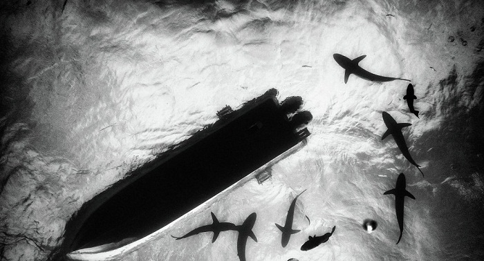 Obama signs Bill to conserve fishery resources in Pacific, Atlantic